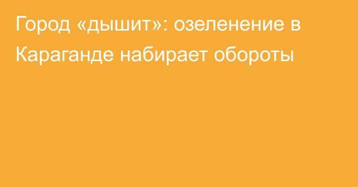 Город «дышит»: озеленение в Караганде набирает обороты