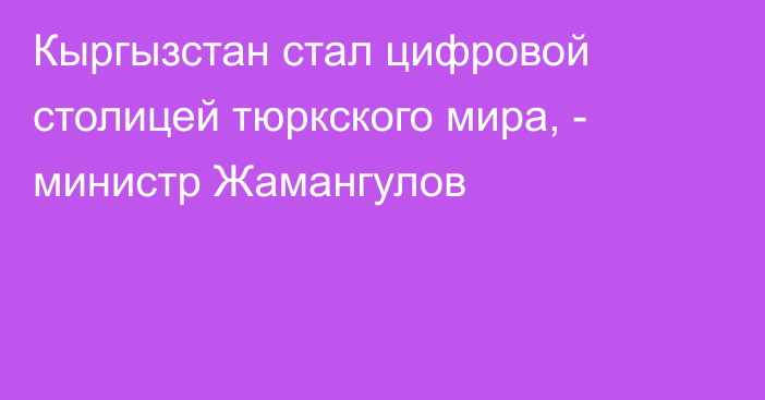 Кыргызстан стал цифровой столицей тюркского мира, - министр Жамангулов