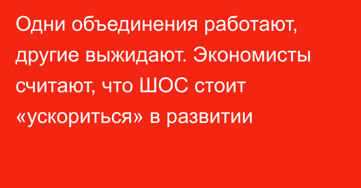 Одни объединения работают, другие выжидают. Экономисты считают, что ШОС стоит «ускориться» в развитии
