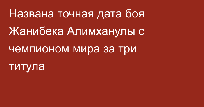 Названа точная дата боя Жанибека Алимханулы с чемпионом мира за три титула