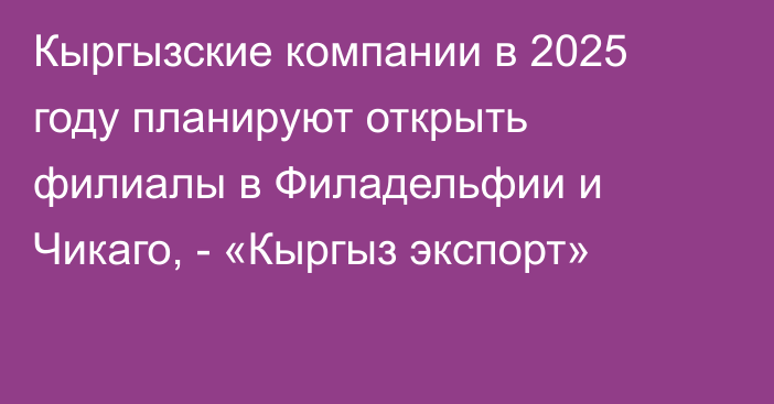 Кыргызские компании в 2025 году планируют открыть филиалы в Филадельфии и Чикаго, - «Кыргыз экспорт»