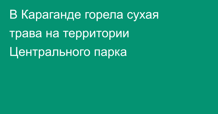 В Караганде горела сухая трава на территории Центрального парка