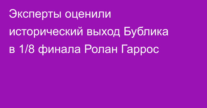 Эксперты оценили исторический выход Бублика в 1/8 финала Ролан Гаррос