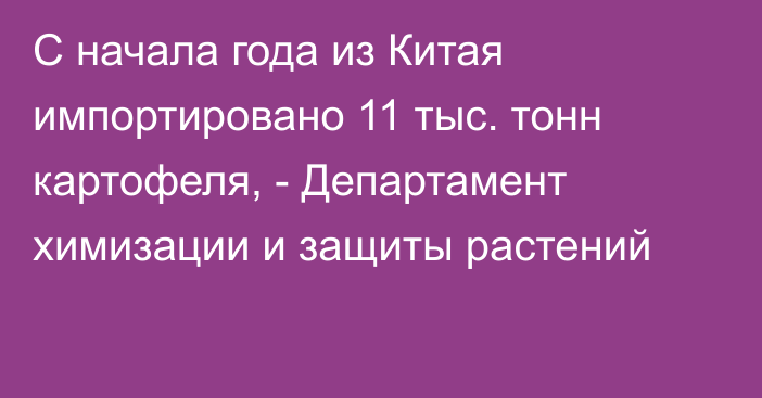 С начала года из Китая импортировано 11 тыс. тонн картофеля, - Департамент химизации и защиты растений 