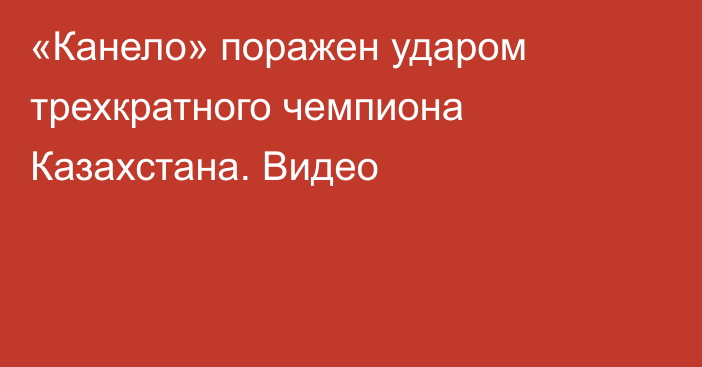 «Канело» поражен ударом трехкратного чемпиона Казахстана. Видео