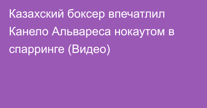 Казахский боксер впечатлил Канело Альвареса нокаутом в спарринге (Видео)