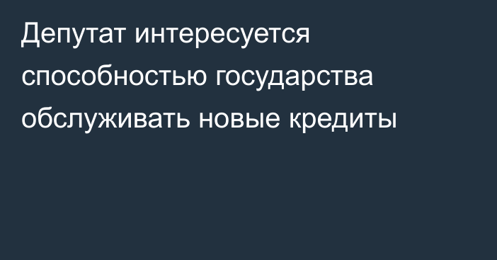 Депутат интересуется способностью государства обслуживать новые кредиты