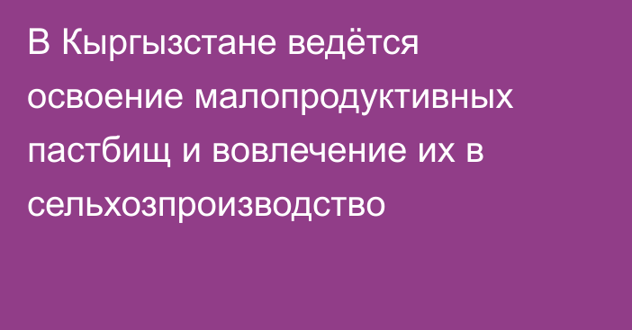 В Кыргызстане ведётся освоение малопродуктивных пастбищ и вовлечение их в сельхозпроизводство