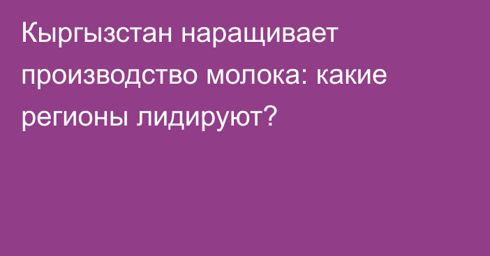 Кыргызстан наращивает производство молока: какие регионы лидируют?