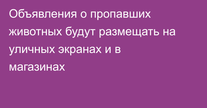Объявления о пропавших животных будут размещать на уличных экранах и в магазинах