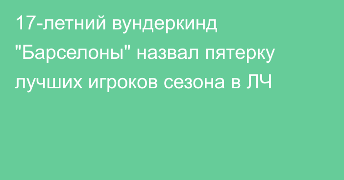 17-летний вундеркинд 