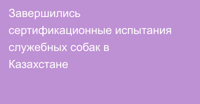 Завершились сертификационные испытания служебных собак в Казахстане