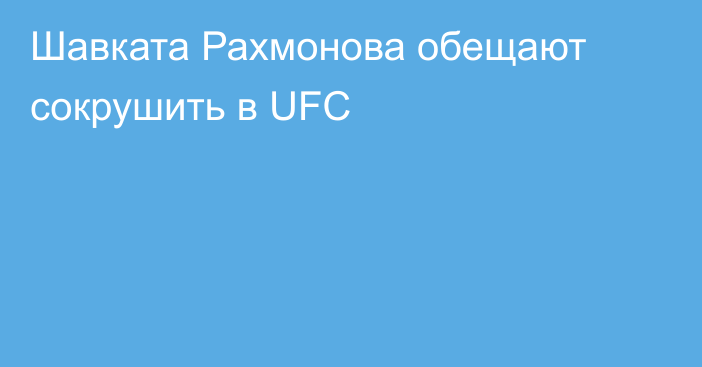 Шавката Рахмонова обещают сокрушить в UFC
