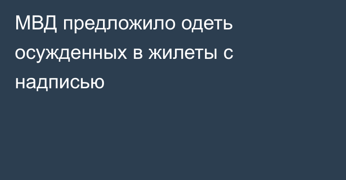 МВД предложило одеть осужденных в жилеты с надписью