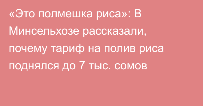 «Это полмешка риса»: В Минсельхозе рассказали, почему тариф на полив риса поднялся до 7 тыс. сомов