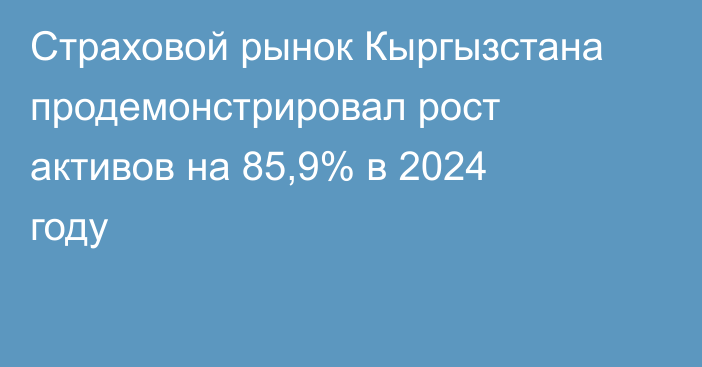 Страховой рынок Кыргызстана продемонстрировал рост активов на 85,9% в 2024 году