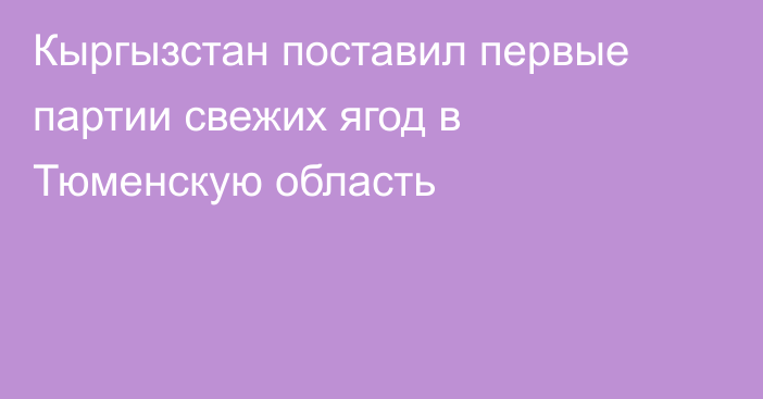 Кыргызстан поставил первые партии свежих ягод в Тюменскую область