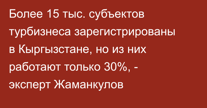 Более 15 тыс. субъектов турбизнеса зарегистрированы в Кыргызстане, но из них работают только 30%, - эксперт Жаманкулов