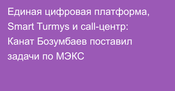Единая цифровая платформа, Smart Turmys и call-центр: Канат Бозумбаев поставил задачи по МЭКС