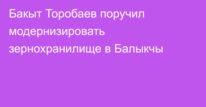 Бакыт Торобаев поручил модернизировать зернохранилище в Балыкчы