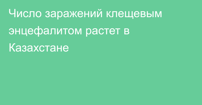Число заражений клещевым энцефалитом растет в Казахстане