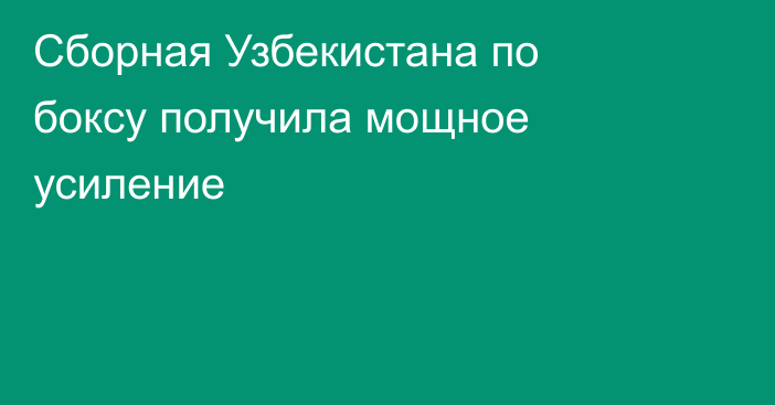 Сборная Узбекистана по боксу получила мощное усиление