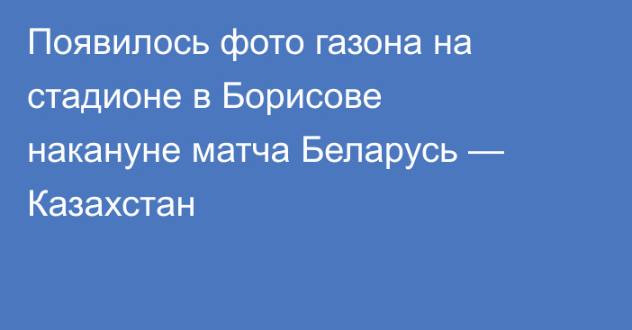 Появилось фото газона на стадионе в Борисове накануне матча Беларусь — Казахстан