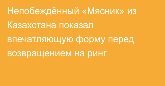 Непобеждённый «Мясник» из Казахстана показал впечатляющую форму перед возвращением на ринг