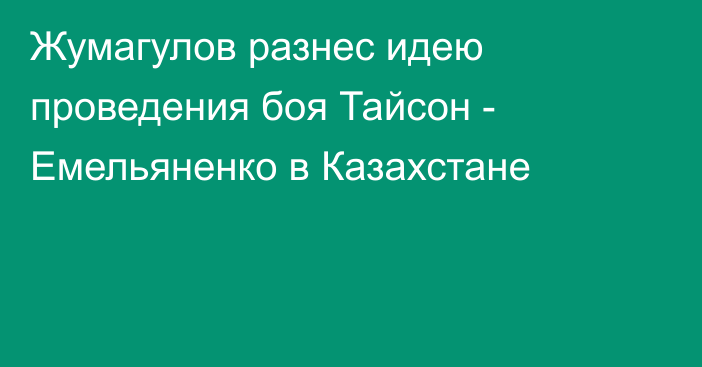 Жумагулов разнес идею проведения боя Тайсон - Емельяненко в Казахстане