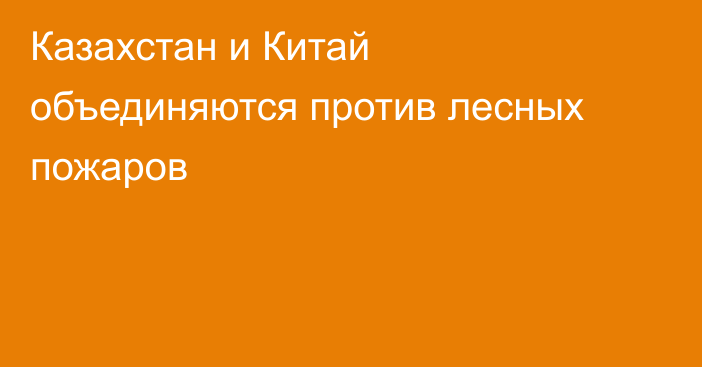 Казахстан и Китай объединяются против лесных пожаров