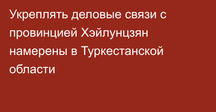 Укреплять деловые связи с провинцией Хэйлунцзян намерены в Туркестанской области