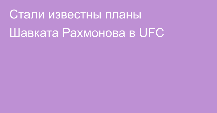 Стали известны планы Шавката Рахмонова в UFC