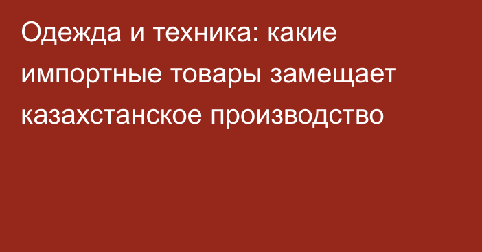 Одежда и техника: какие импортные товары замещает казахстанское производство