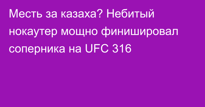 Месть за казаха? Небитый нокаутер мощно финишировал соперника на UFC 316