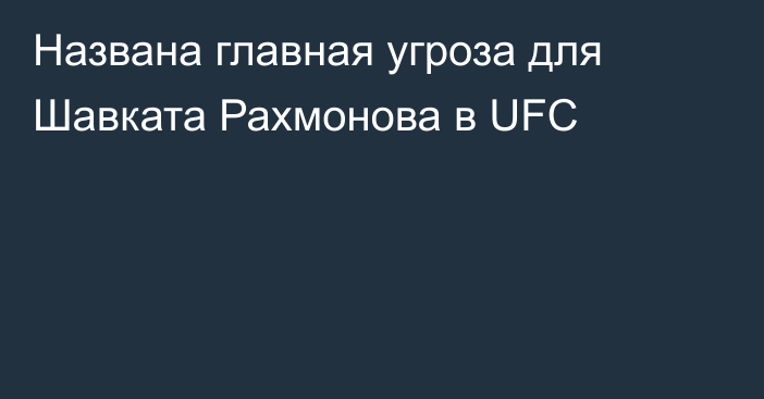 Названа главная угроза для Шавката Рахмонова в UFC