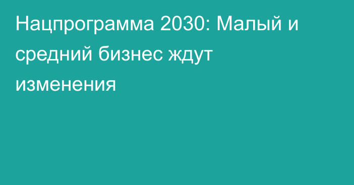 Нацпрограмма 2030: Малый и средний бизнес ждут изменения