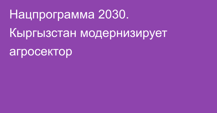 Нацпрограмма 2030. Кыргызстан модернизирует агросектор