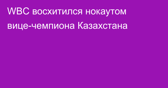 WBC восхитился нокаутом вице-чемпиона Казахстана