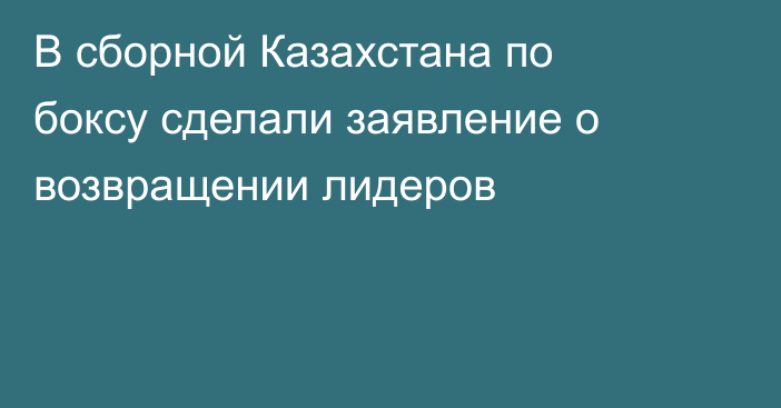 В сборной Казахстана по боксу сделали заявление о возвращении лидеров