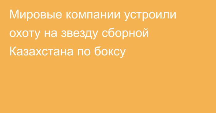 Мировые компании устроили охоту на звезду сборной Казахстана по боксу