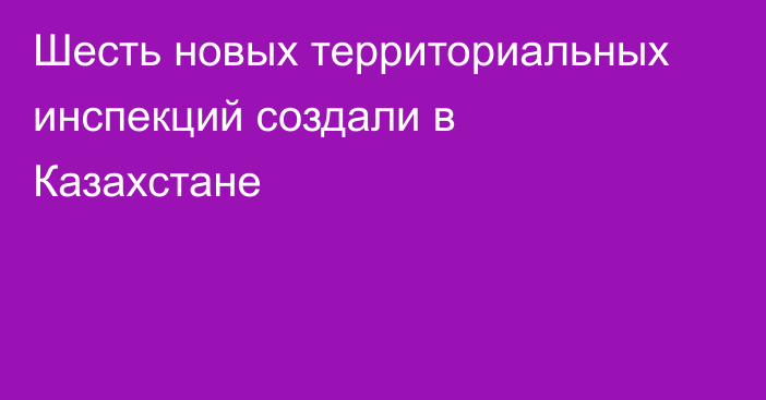 Шесть новых территориальных инспекций создали в Казахстане