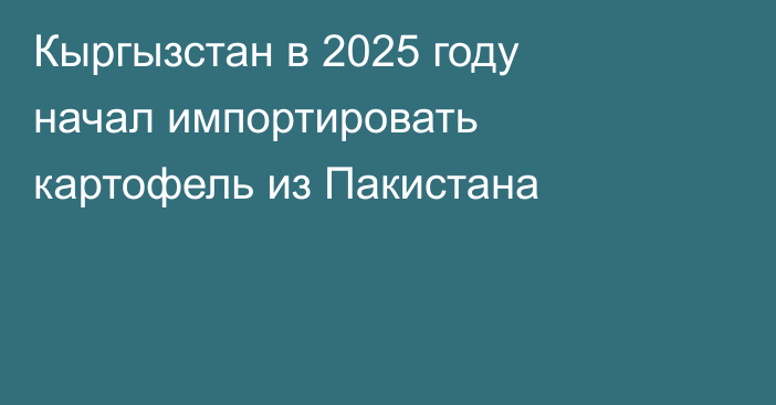 Кыргызстан в 2025 году начал импортировать картофель из Пакистана