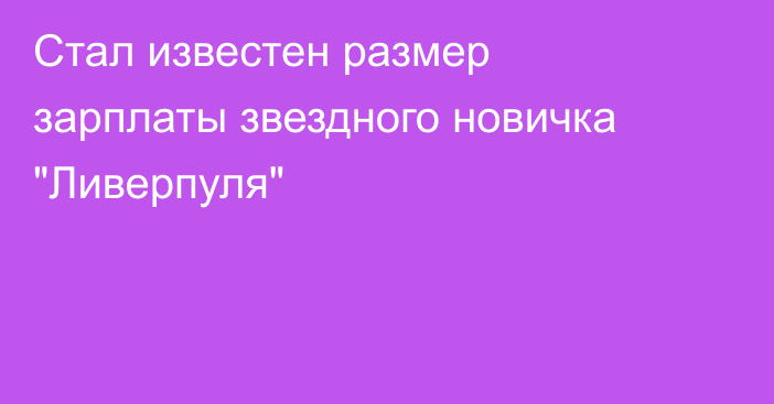 Стал известен размер зарплаты звездного новичка 