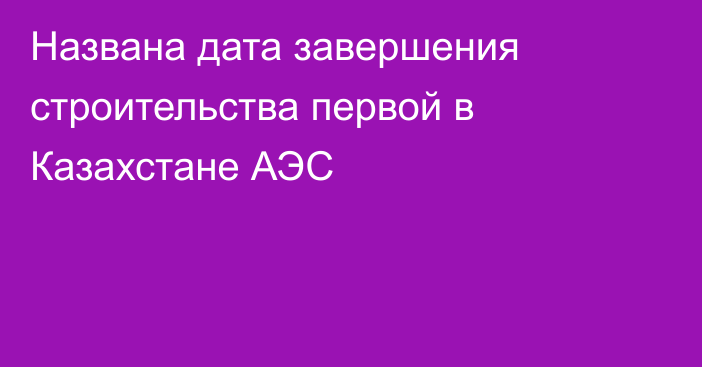Названа дата завершения строительства первой в Казахстане АЭС