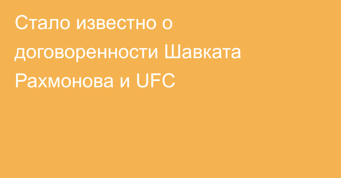 Стало известно о договоренности Шавката Рахмонова и UFC
