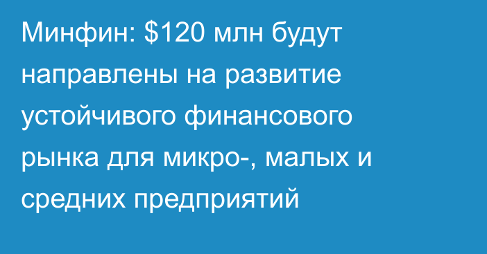 Минфин: $120 млн будут направлены на развитие устойчивого финансового рынка для микро-, малых и средних предприятий
