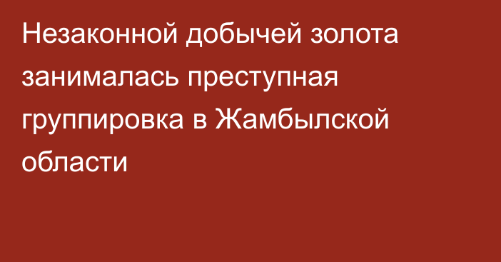 Незаконной добычей золота занималась преступная группировка в Жамбылской области