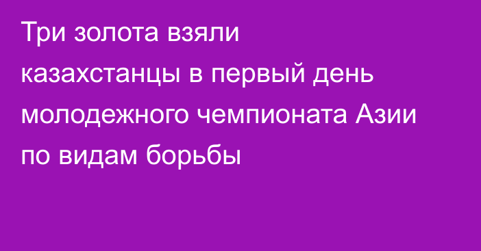 Три золота взяли казахстанцы в первый день молодежного чемпионата Азии по видам борьбы