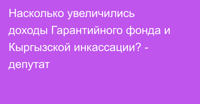 Насколько увеличились доходы Гарантийного фонда и Кыргызской инкассации? - депутат