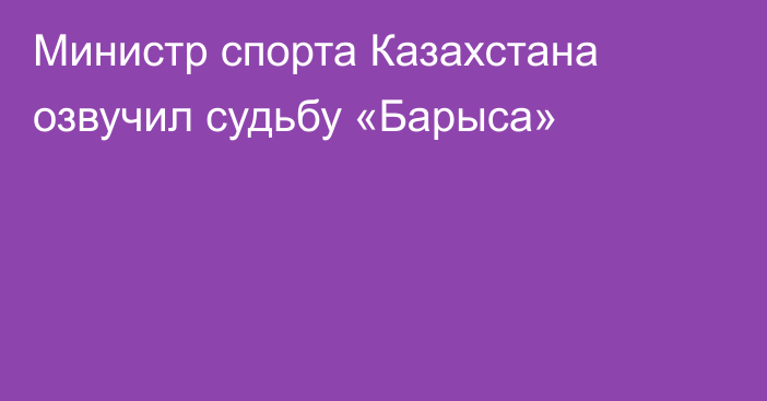 Министр спорта Казахстана озвучил судьбу «Барыса»